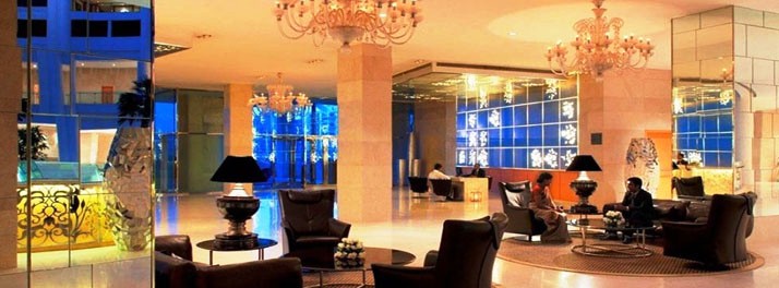 431/Radisson Blu Hotel Dwarka - New Delhi 03.jpg
